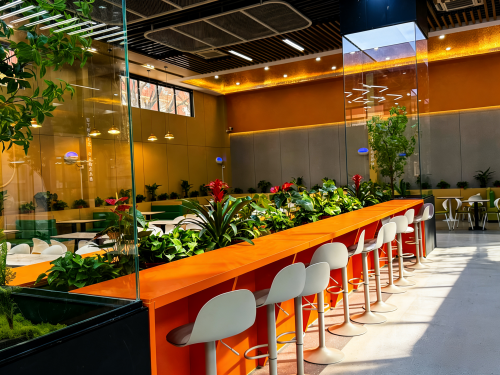 2026西安高三冲刺：选对全日制补习，让努力更有方向 - 站长新闻