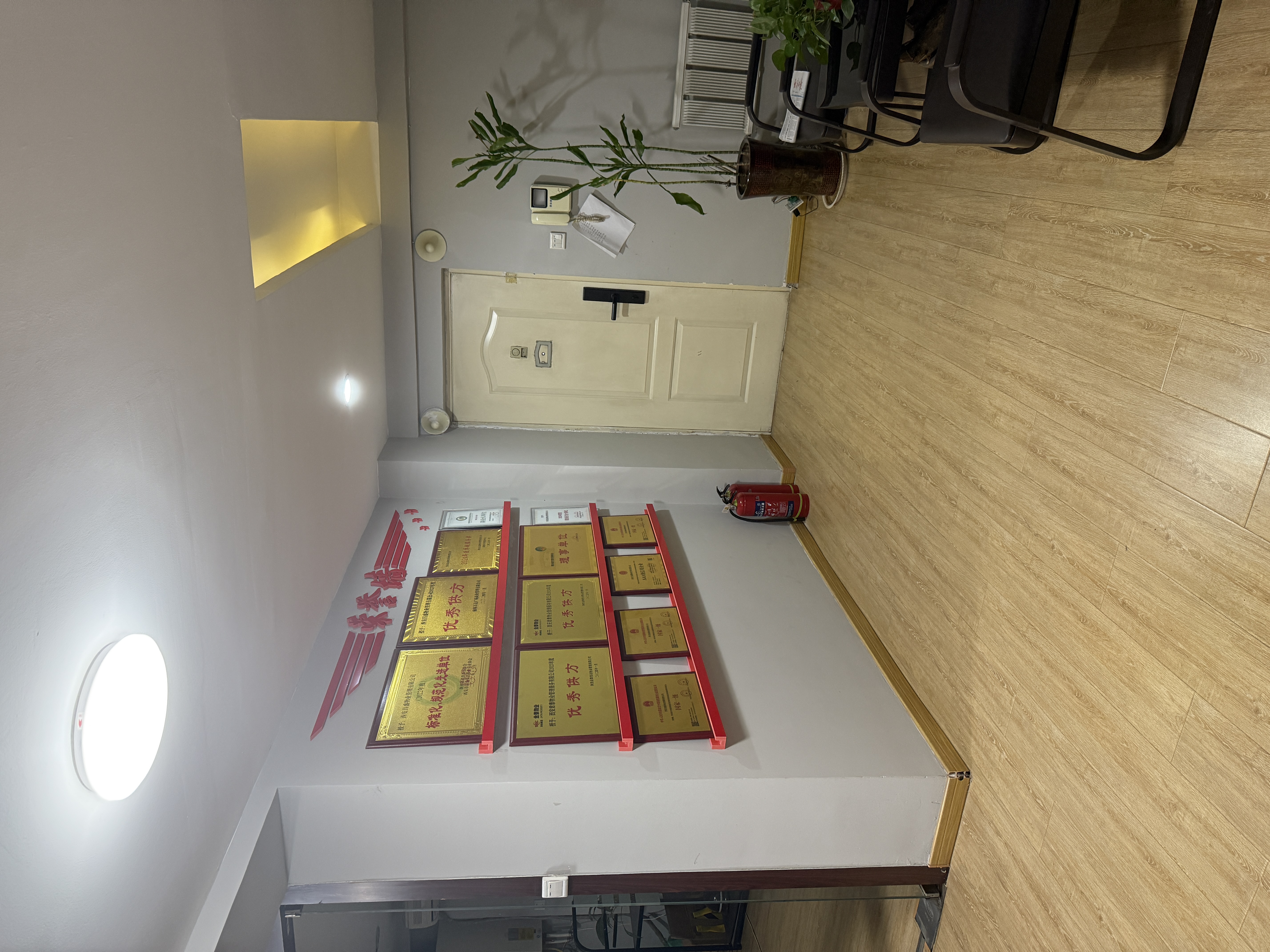 2026年热门来袭！西安地毯清洗品牌众多，哪家才是靠谱之选？ - 站长新闻