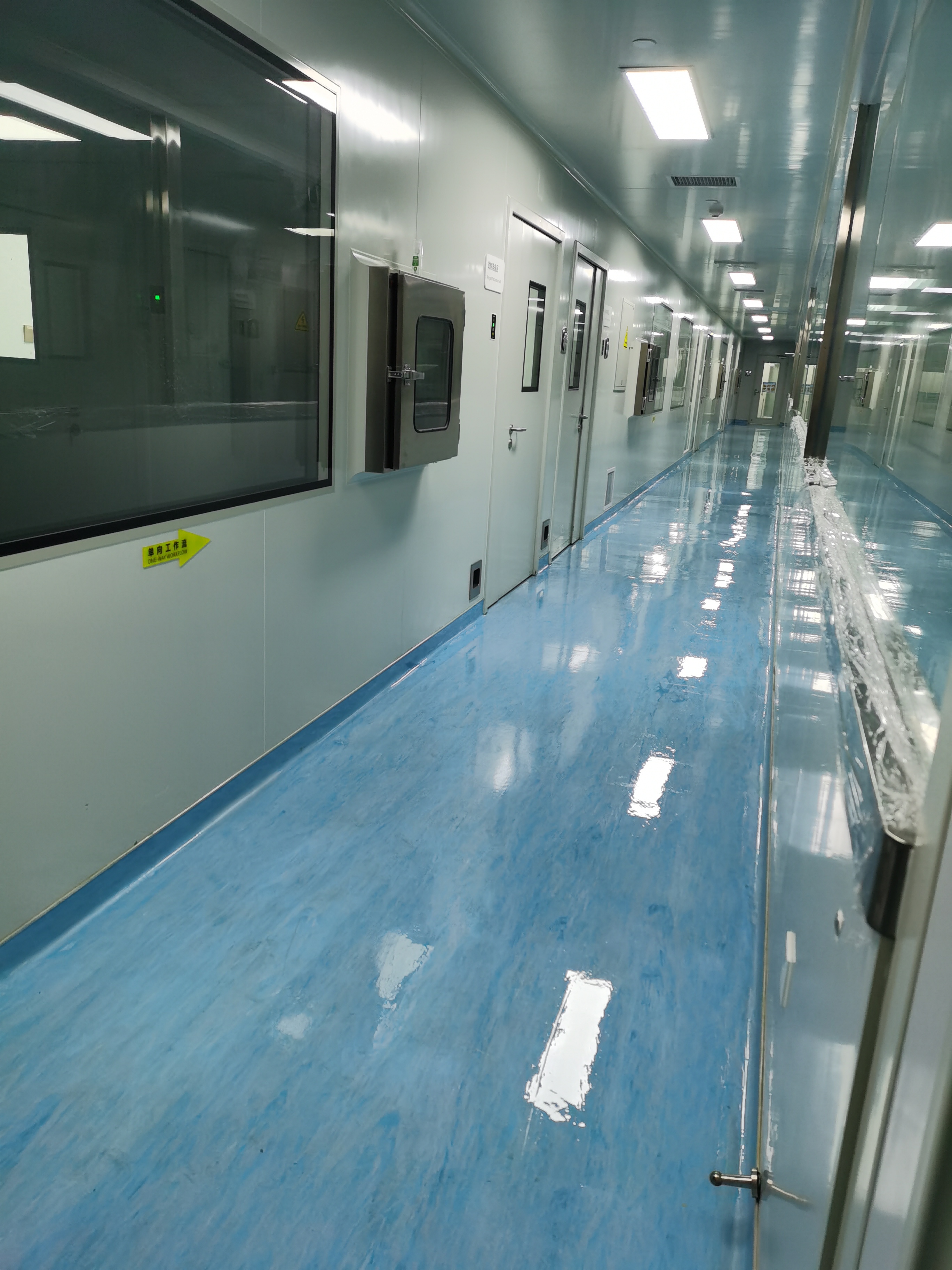 2026年西安地毯清洁指南：如何选出专业又省心的清洗服务商 - 站长新闻